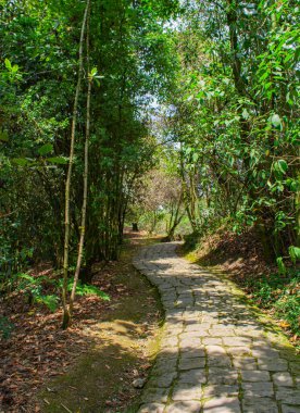 Kayaların, suyun ve yeşilliğin yer aldığı büyüleyici bir sergi, doğanın güzelliğini yenilikçi bir ortamda sergiliyor.