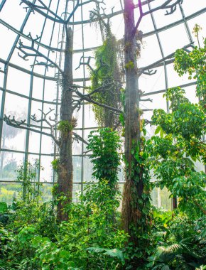 Kayaların, suyun ve yeşilliğin yer aldığı büyüleyici bir sergi, doğanın güzelliğini yenilikçi bir ortamda sergiliyor.