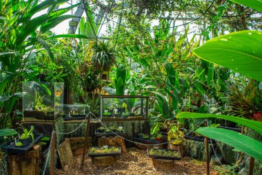 Kayaların, suyun ve yeşilliğin yer aldığı büyüleyici bir sergi, doğanın güzelliğini yenilikçi bir ortamda sergiliyor.