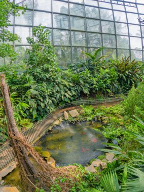 Kolombiya 'nın Bogot kentindeki Botanik Bahçesi' nde yemyeşil yapraklarla çevrili canlı bir tropikal bahçe manzarası.