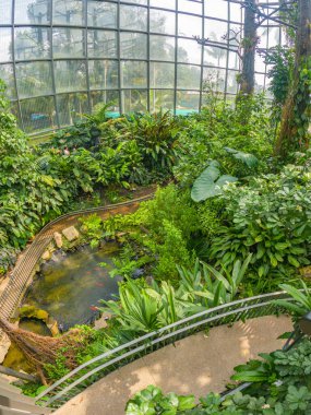 Bogot Botanik Bahçesi 'ndeki yemyeşil bir gölet Kolombiya' nın başkentinde huzurlu bir kaçış sunuyor.