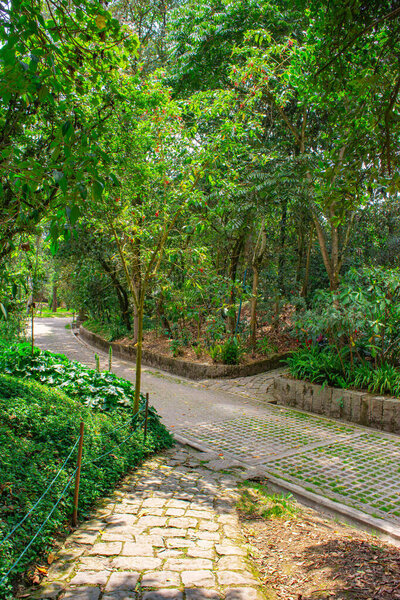 Потрясающая внутренняя экспозиция пейзажа со скалами, водой и зеленью, демонстрирующая красоту природы в инновационной обстановке