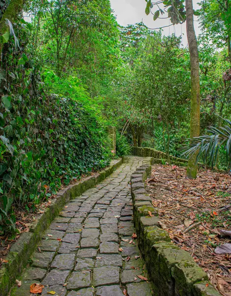 Kayaların, suyun ve yeşilliğin yer aldığı büyüleyici bir sergi, doğanın güzelliğini yenilikçi bir ortamda sergiliyor.