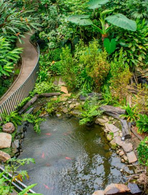 Kolombiya, Bogot Botanik Bahçesi 'nde canlı yeşilliklerle çevrili sakin bir göletin bulunduğu yemyeşil bir bahçe sahnesi.