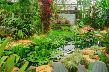 Değişik bitkiler ve dingin göletlerle dolu canlı bir bahçe sergisi Bogot, Kolombiya 'daki Botanik Bahçesi' nde doğanın güzelliğini gözler önüne seriyor.