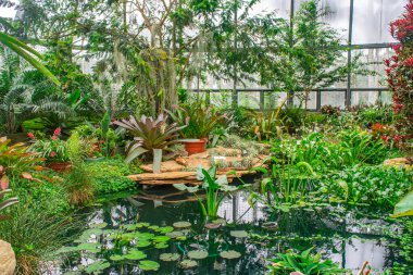 Bogot Botanik Bahçesi, Cundinamarca, Kolombiya 'da bereketli tropikal bitkiler ve canlı çiçekler, sakin bir göletin çevresini sarar.