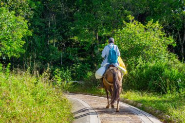 Las Gachas, Guadalupe, Santander, Kolombiya 'da yemyeşil ile çevrili dolambaçlı bir yolda ata binen bir adam.