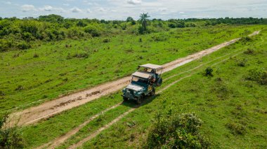 Kolombiya, Casanare 'deki yemyeşil manzaranın hava manzarası, dolambaçlı yollar ve bulutlu bir gökyüzünün altındaki açık alanlar.