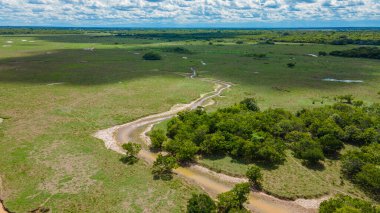 Kazanare, Kolombiya 'nın verimli arazisinde dolambaçlı bir toprak yolun havadan görünüşü canlı yeşil alanlar ve sakin doğal çevreyi gösteriyor..