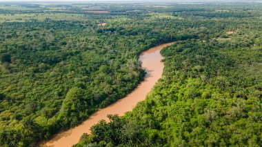 Kolombiya, Casanare 'nin çarpıcı hava manzarası sakin doğal ortamında yemyeşil ve canlı mavi suları sergiliyor..