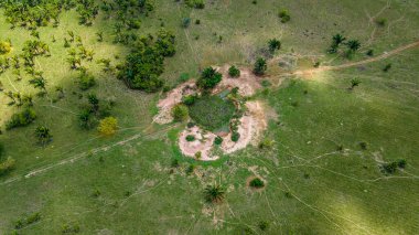 Casanare, Kolombiya 'daki canlı yeşilliklerin çarpıcı bir şekilde yakalanması, bölgenin zengin doğasını ve çeşitli bitki örtüsünü gözler önüne seriyor..
