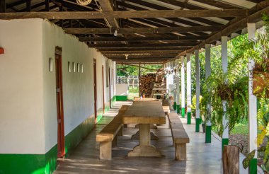 Kazanare, Kolombiya 'da kumlu zeminde bir arada duran dört baykuş kendilerine özgü özelliklerini doğal bir ortamda sergiliyorlar..