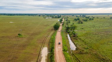 Kolombiya, Casanare 'de yemyeşil çimlerin üzerinde duran görkemli bir leylek doğanın güzelliğini yakalıyor..