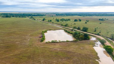Kolombiya, Casanare 'de yemyeşil çimlerin üzerinde duran görkemli bir leylek doğanın güzelliğini yakalıyor..