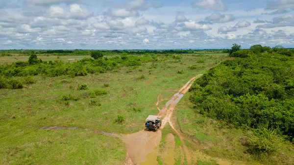 Kazanare, Kolombiya 'nın verimli arazisinde dolambaçlı bir toprak yolun havadan görünüşü canlı yeşil alanlar ve sakin doğal çevreyi gösteriyor..