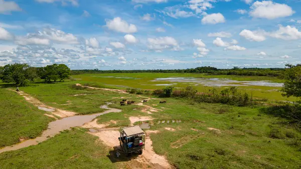 Kazanare, Kolombiya 'nın verimli arazisinde dolambaçlı bir toprak yolun havadan görünüşü canlı yeşil alanlar ve sakin doğal çevreyi gösteriyor..