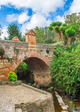 Mongui, Boyac, Kolombiya 'da çanak çömlek ve yeşillikle süslenmiş canlı bir duvar, yerel işçilik ve doğal güzellik sergiliyor..