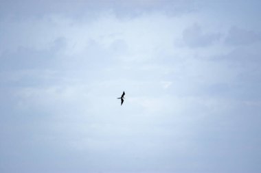 Cabo de la Vela, La Guajira 'nın havadan görünüşü, insanların sahil boyunca okyanusun ve geleneksel kulübelerin tadını çıkardığını gösteriyor..