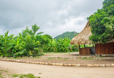 La Guajira, Kolombiya 'daki yemyeşil manzaralarda dolanan Palomino Nehri' nin çarpıcı hava görüntüsü doğanın ve el değmemiş plajların güzelliğini gözler önüne seriyor..