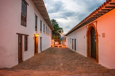 Canlı çiçeklerle vurgulanan bir büst, Villa de Leyva, Boyaca, Kolombiya 'daki dağlara karşı, pitoresk bir manzara yaratıyor..