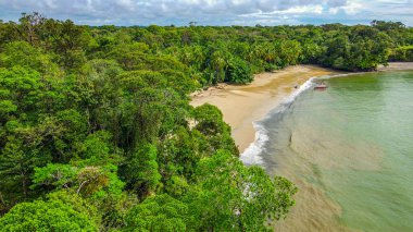 Bahia Malaga, Valle del Cauca 'da yemyeşil ve yumuşak dalgalarla çevrili sakin bir sahil manzarası..