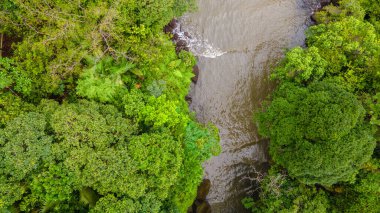 Bahia Malaga, Valle del Cauca 'da yemyeşil ve yumuşak dalgalarla çevrili sakin bir sahil manzarası..