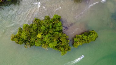 Bahia Malaga 'nın Valle del Cauca' daki hava manzarası yemyeşil ve tropikal ağaçlarla çevrili bir nehir boyunca tekneleri gösteriyor..