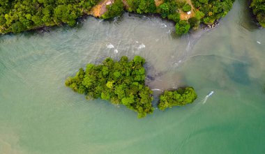 Bahia Malaga 'nın Valle del Cauca' daki hava manzarası yemyeşil ve tropikal ağaçlarla çevrili bir nehir boyunca tekneleri gösteriyor..