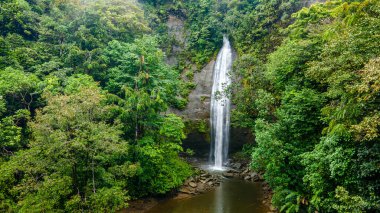 Bahia Malaga 'nın Valle del Cauca' daki hava manzarası yemyeşil ve tropikal ağaçlarla çevrili bir nehir boyunca tekneleri gösteriyor..