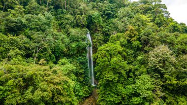 Bahia Malaga 'nın Valle del Cauca' daki hava manzarası yemyeşil ve tropikal ağaçlarla çevrili bir nehir boyunca tekneleri gösteriyor..