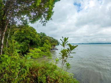 Bahia Malaga, Valle del Cauca, Kolombiya 'da kasvetli bir gökyüzünün altında dalgalarla çevrili sakin bir ada manzarası..