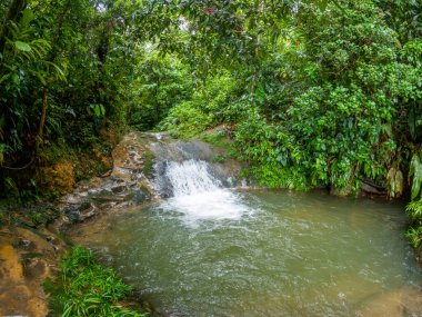Bahia Malaga, Valle del Cauca, Kolombiya 'da kasvetli bir gökyüzünün altında dalgalarla çevrili sakin bir ada manzarası..