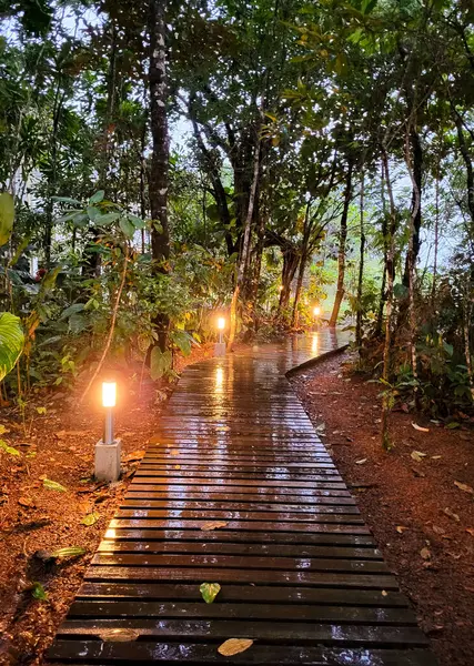 Bahia Malaga, Valle del Cauca 'da yemyeşil ve yumuşak dalgalarla çevrili sakin bir sahil manzarası..