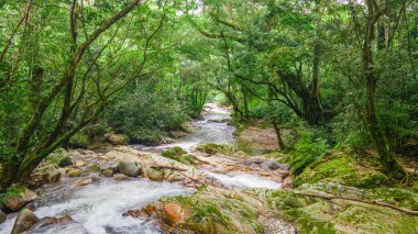 Muhteşem hava manzarası Santa Marta, Magdalena, Kolombiya 'nın canlı mimarisini ve sahil şeridini gösteriyor..