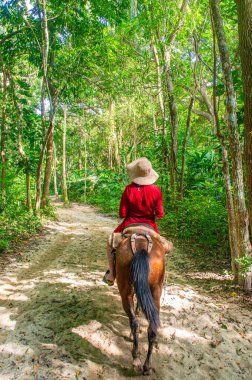Cabo San Juan, Tayrona Park, Santa Marta, Kolombiya 'daki yemyeşil ve palmiye ağaçlarının berrak mavi gökyüzü altında manzarası.