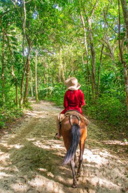 Cabo San Juan, Tayrona Park, Santa Marta, Kolombiya 'daki yemyeşil ve palmiye ağaçlarının berrak mavi gökyüzü altında manzarası.