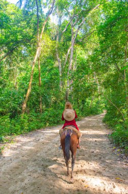 Cabo San Juan, Tayrona Park, Santa Marta, Kolombiya 'daki yemyeşil ve palmiye ağaçlarının berrak mavi gökyüzü altında manzarası.