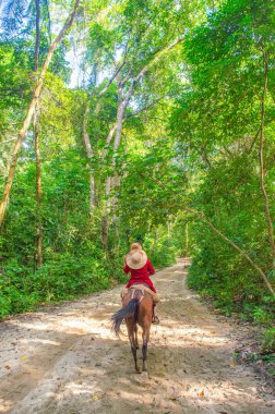 Cabo San Juan, Tayrona Park, Santa Marta, Kolombiya 'daki yemyeşil ve palmiye ağaçlarının berrak mavi gökyüzü altında manzarası.