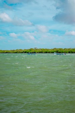 La Guajira, Kolombiya 'da mavi bir gökyüzü altında yemyeşil bir ırmağın yeşil sularında gezinen iki tekne..