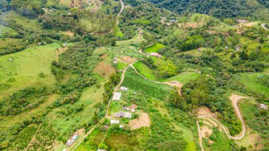 Kolombiya 'nın kırsal kesiminin doğal güzelliğini gösteren Popayn, Cauca' daki canlı yeşil tepeler ve tarım arazilerinin çarpıcı manzarası..