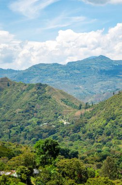 Minca, Santa Marta, Kolombiya 'daki canlı yeşilliklerden akan sakin bir nehir doğanın güzelliğini ve sükunetini gözler önüne seriyor..