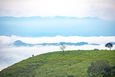 Popayn, Cauca, Kolombiya 'daki büyüleyici yeşil tepeler ve puslu dağlar doğanın güzelliğini ve sükunetini gözler önüne seriyor..