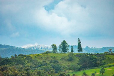 Popayn, Cauca, Kolombiya 'daki yeşil bir tepenin manzarası, ağaçlar ve bulutlu gökyüzü, doğa severler ve seyahat meraklıları için ideal..