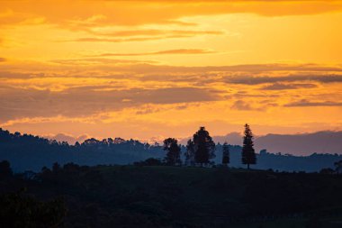 Tierradentro, Cauca tepelerinde nefes kesici bir günbatımı manzarası, canlı renkler ve siluetli ağaçlar sergiliyor..