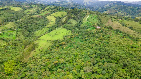 Canlı hava manzarası yemyeşil ve Popayn, Cauca, Kolombiya 'nın yuvarlanan tepelerini gösteriyor. Doğa ve seyahat fotoğrafçılığı için ideal..