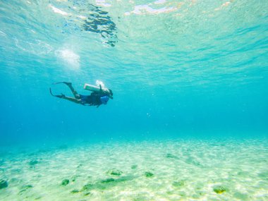 San Andres Adası, Kolombiya 'nın berrak mavi sularında şnorkelle yüzen bir birey canlı deniz yaşamı ve mercan resifleri sergiliyor..