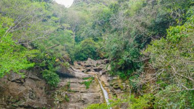 Villeta, Cundinamarca, Kolombiya 'da yoğun yeşil yapraklarla çevrili kayalık arazide sakin bir şelale akıyor..