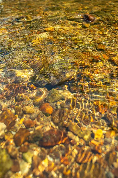 Kristal berrak suyun sakin görüntüsü altındaki renkli taşları ortaya çıkarıyor, Putumayo, Kolombiya 'daki doğanın güzelliğini yakalıyor..