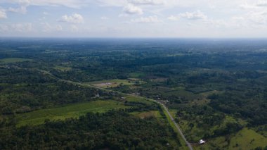 Putumayo, Kolombiya 'daki yemyeşil ve yolların çarpıcı hava manzarası bölgenin doğal güzelliğini gözler önüne seriyor..