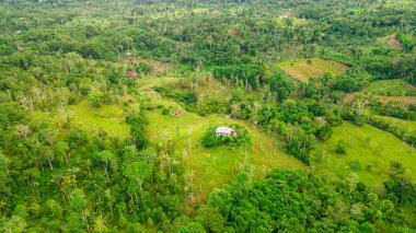 Şaşırtıcı hava manzarası Putumayo, Kolombiya 'nın canlı yeşil manzarasını orman ve açık arazilerle gösteriyor..